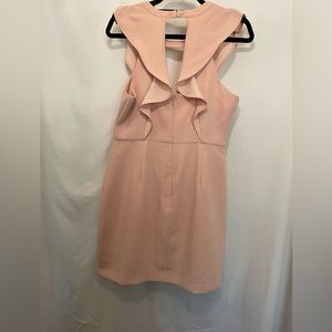 NWT BCBG pink dress size 10